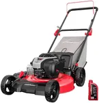 PowerSmart 21-Inch 3-in-1 Gas Push 