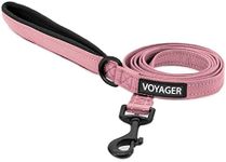 Voyager Reflective Dog Leash with N