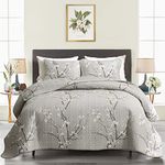 Jcpenney Bed Sets