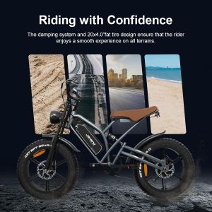 X50 20'' Fat Tire Electric Bike for Adults – 48V 17Ah, 250W, 7-Speed, Removable Battery, LCD Display
