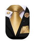 Hi-Tie Silk Men's Tie and Pocket Square Cufflinks Lapel Pin Set Jacquard Wedding Business Necktie for Formal,Gold