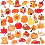 AUGSUN 36pcs Fall Autumn Iron on Patches Thanksgiving Day Embroidered Sew Applique Repair Patch Fall Leaf Pumpkin Turkey Maple Leaves Gnome Acorn DIY Crafts for Clothing Jacket Jeans Pants Dress Backpack Hat