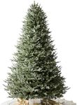 Balsam Hill BH Balsam Fir Full Tree