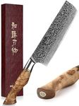 HEZHEN 7 inch Nakiri Knife Japanese High Carbon Steel-Super Durable Cooking Knife-67 Layers of Damascus Steel Sharp Blade -Ergonomic Design for Figured Sycamore Wood Handle in Master Serie