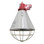 Oypla Poultry Heat Incubator Lamp 175W w. Red Bulb For Chicks/Puppies