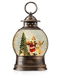 Lighted Snow Globe