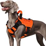 WINGOIN Orange Tactical Dog Harness