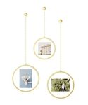 Umbra Fotochain Circular Photo Display, Set of 3, Matte Brass