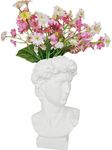 Creation Core Indoor Outdoor Heads Planter Resin Succulent Planter Vase Greek Statue Planter Urn Home Garden Decor Sculpture 6.7" H, Face