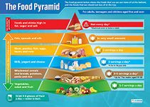 Daydream Education Food Pyramid Science Poster - EXTRA LARGE - A1 (850mm x 594mm) - Gloss Paper - Science Wall Charts for the Classroom