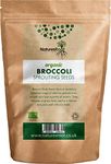 Natures Root Organic Broccoli Sprouting Seeds 1kg - Superfood | Non GMO | Microgreen Sprouts