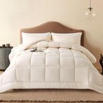 Whatsbedding Queen Comforter Set, All Season Beige Lightweight 3 Pieces Bedding Set， Soft Down Alternative Bed Set with 2 Pillowcases, Queen Size, 88"x90"