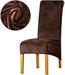 LANSHENG Velvet Dining Chair Covers, Stretch Large Chair Slipcovers for Dining Chairs Set of 4, Washable Removable Kitchen Chair Seat Protector for Dining Room (Coffee, Set of 4)