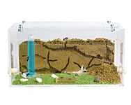 AntHouse - Natural Sand Ant Farm | Acrylic Starter Kit 20x10x10 cm