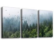 Large Green Forest Wall Art Tropical Virgin Forest Mountain Bird Contemporary Canvas Pictures Modern Artwork Framed for Bathroom Bedroom Nursery Living Room Home Office Kitchen Wall Decor 40 x 60cm 3 Pieces