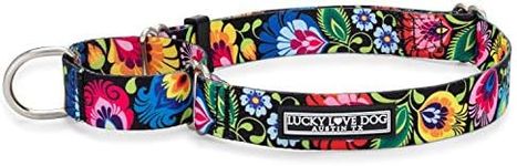 Lucky Love Dog Martingale Dog Collar - Adjustable, No-Slip, Durable, & Soft Polyester Webbing Dog Collar for Male and Female Dogs - Stylish Blackbird Pattern, Ideal for Training & Walking, Medium Size