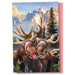 Tree-Free Greetings EcoNotes 12 Count Two Moose Selfie All Occasion Notecard Set with Envelopes, 4 x 6 Inches (FS56915)