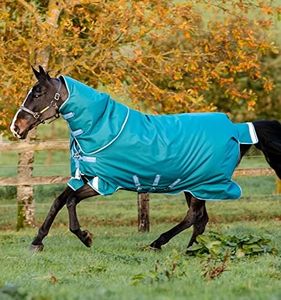 Horseware® Amigo® Bravo 12 Plus Turnout (400g Heavy)