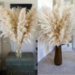 Natural Pampas Grass Decor Tall, Large Pampas Beige Color 46" , Set of 6 Natural 117.6 cm Tall Pampas Grass Stems - Perfect for Weddings, Parties, Bohemian Home Decor , Office , Studio photo And More.