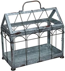 Esschert Design USA ZB21 Table-Top Vintage Look Greenhouse/Terrarium, Silver