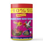 Hallofeed Freeze Dried Blood Worms Fish Food 22 Grams for Bettas, Tetras, Arowana, Flowerhorn, Oscar Fishes of All Life Stages (22 GM)