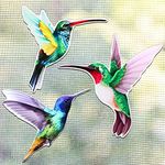 Konohan 3 Pairs Hummingbird Screen 