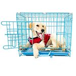 Midwest Cage House for New Born Puppies, Small Cats Kittens, Hamsters, Rabbits, Guinea Pigs Kennel & Travel Carrier Single Door Heavy Duty Folding Metal Cage 18 Inch (45 * 40 * 30 cm)