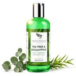 Tea Tree Body Wash- Refreshing Shower Gel for Acne Blemishes Pimples -250ml