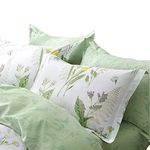 FADFAY Green Leaves Duvet Cover Set Premium 100% Cotton Daisy and Lavender Flowers Target Bedding 3-Piece：1Duvet Cover（No Comforter） + 2Pillowcases (Twin XL, Floral)