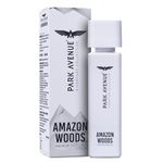 Park Avenue Men Voyage Amazon Woods Liquid Perfume, 120Ml