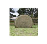 hay chix Large Bale Net - 5'"The Goldilocks, 1 3/4" Original, Round Bale Slow Feed Hay Net for Horses and Mules