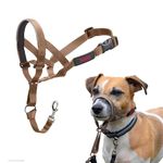 HALTI Headcollar - to Stop Your Dog Pulling on The Leash. Adjustable, Reflective and Lightweight, with Padded Nose Band. Dog Training Anti-Pull Collar for Small Dogs (Size 1, Desert Sand)