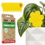 Super Ninja Fungus Gnat Killer - 10 Pack, Effective Gnat Killer for Indoor Plants, Non-Toxic & Nature-Friendly, Safe for Kids & Pets Yellow Sticky Fly Traps, Lasts Up to 3 Months