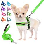 Lukovee Walking Dog Harness and Leash, Heavy Duty Adjustable Puppy Harness Soft Padded Reflective Vest Harness Anti-Twist 4FT Pet Lead Quick Fit Lightweight for Small Dog Cat (XX-Small, Green)