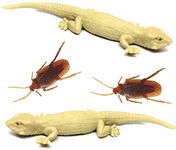 DESCTIDY Lizard Cockroach Fun Prank Toys for Kids and Adults Realistic Look (Lizard Cockroach, Brown) Lizard Toy (Modern, 4.00, Count)