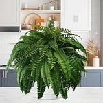 Growhabity Ferns, Resistant Lifelike Artificial Boston Fern, Artificial Ferns for Outdoors, Faux Ferns Fake Ferns Artificial Plants, Artificial Boston Fern for Window Home Decor (1pcs-28 Pieces)