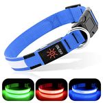 BSEEN Light Up Dog Collars - Reflective LED Dog Collar, Rechargeable Dog Glow Collar, Waterproof Glowing Dog Collar Lights for Night Walking (Royal Blue, Large)