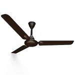 Ceiling Fan Designers Of The Souths