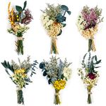 Baseca Dried Flower - Natural Dried Floral Plant, Mini Dried Flowers Bouquet for Photography Props, Dry Flower Bundle Plant with Stem, Babysbreath Bunch for DIY Craft 6 PCS