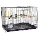 Amazon Basics Metal Bird Cage with 2 Gates, 24 Inches | Ideal for Lovebirds, Parrots, Parakeets, Budgies, & Cockatiels | Water Feeder, Seed Feeder, Wooden Perches, Bird Swings, & Detachable Tray