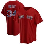 Youth David Ortiz Boston Red Sox Red Alternate Replica Jersey, Red, X-Large