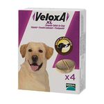 Veloxa XL Chewable Dog Wormer, 4 Tablets