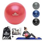 Seatwith Pilates Ball 23 cm / 9 Inches Pilates Ball with transport bag & free e-book - ideal for beginners & advanced users - Yoga Ball, Physio Ball, Pilates Small Ball, Pilates Mini Ball - PINK