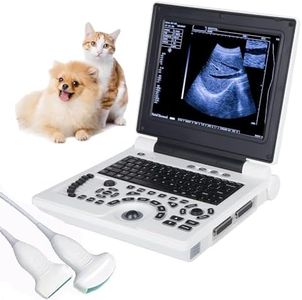 Veterinary