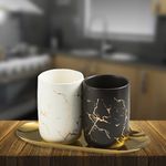 Kuber Industries Toothbrush Holder | Toothbrush Holder with Metal Tray | Counter Top Toothbrush Holder | Bathroom for Wash Basin | ZX011WB-2T | Pack of 2 | White & Black