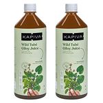 Kapiva Wild Tulsi Giloy Juice (2L) | Fresh Tulsi and Neem-grown Giloy to Support Immune Health - Super Saver Pack of 2