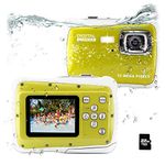 Underwater Digital Cameras