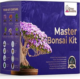 Master Bon