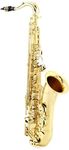 Selmer STS711 Professional Tenor Sa