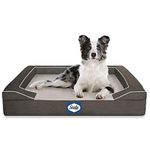 Sealy Memory Foam Dog Beds